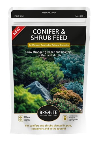120g bronte heritage - 120g, conifer