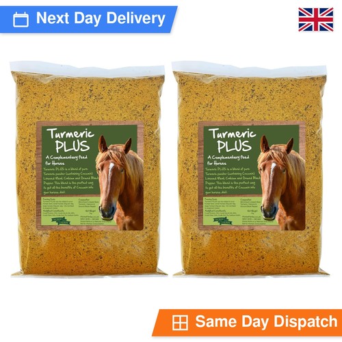 Horse herbs turmeric - horse,