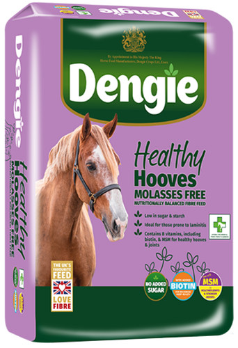 Dengie healthy hooves molasses - dengie,