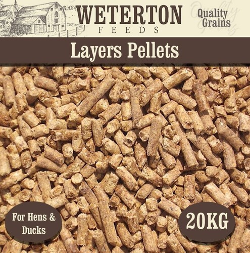 20kg layers pellets poultry - pellets,