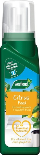 Westland citrus tree feed - citrus,