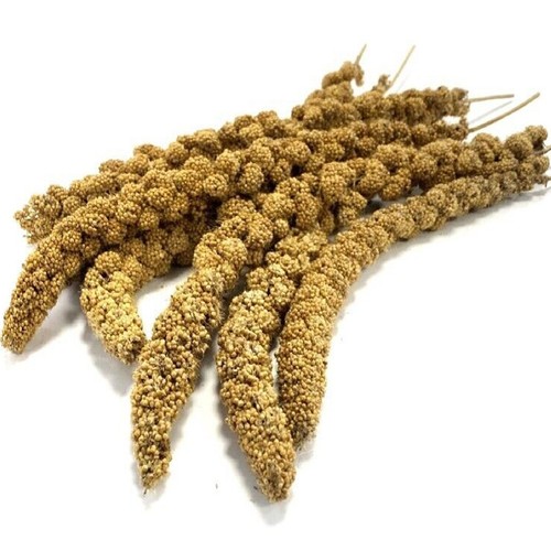 Millet sprays 100g - sprays, 250g