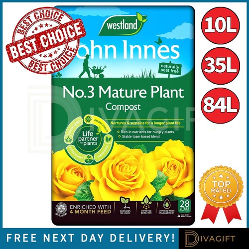 Westland mature plant - westland,