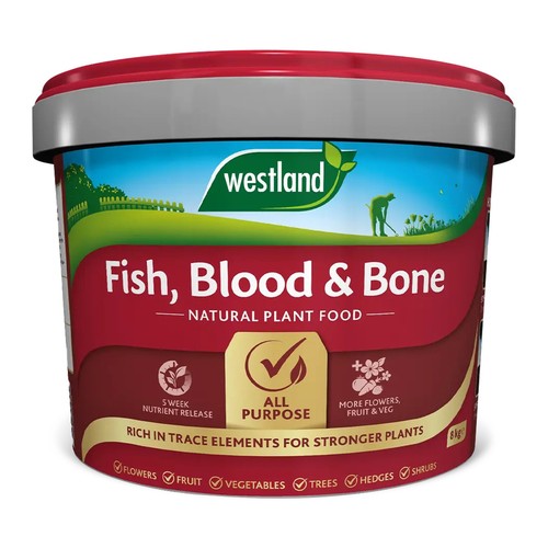 Westland natural plant - natural, food