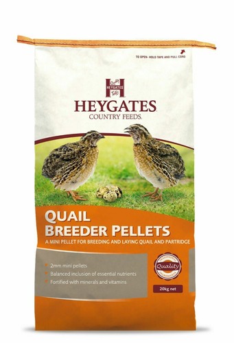 Heygates quail partridge - quail,