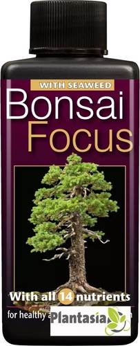 Bonsai focus liquid feed 100ml - liquid,