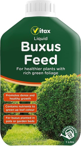 Vitax buxus box plant - vitax, buxus/box