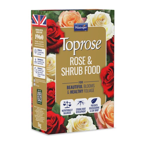 Toprose 5878143 rose and shrub - toprose,