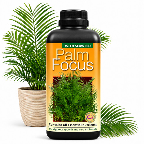 Palm tree fertiliser feed for - fertiliser,