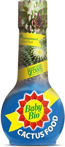 Baby bio cactus food plant - cactus,