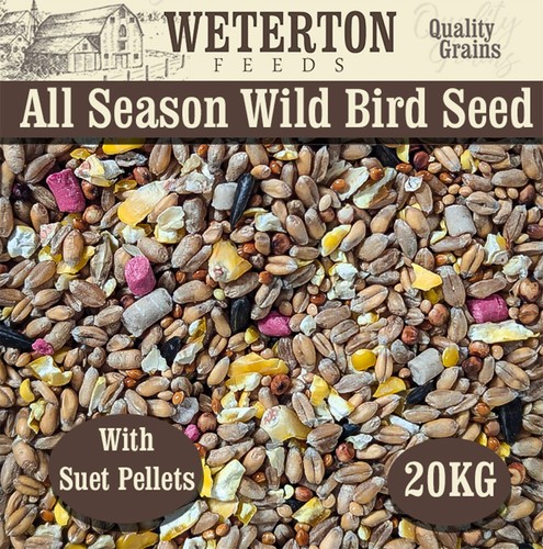 Wild bird seed mix - seed, “all