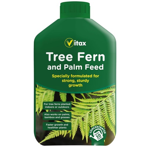Vitax tree fern palm bamboo - fern,