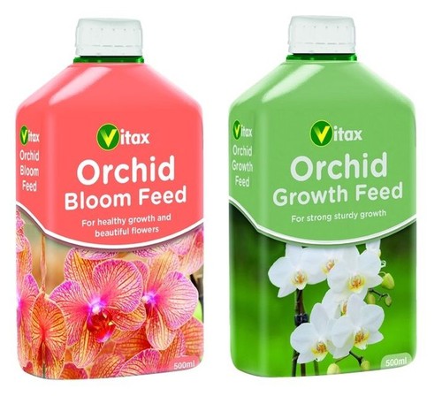 Orchid bloom feed - bloom, &