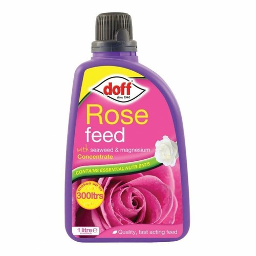 Doff rose feed - rose,