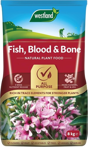 Westland fish blood bone - fish,