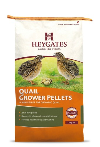 Heygates quail partridge - quail, &