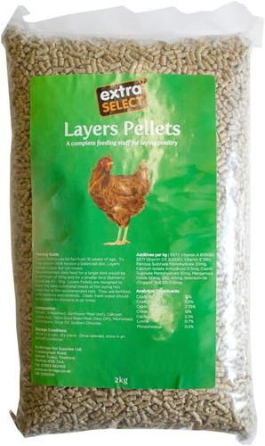 Chicken feed layers pellets - feed,